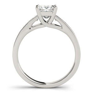 14k White Gold Trellis Princess Engagement Rings